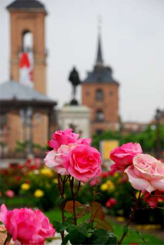 Cervantes 2b.jpg (17042 bytes)